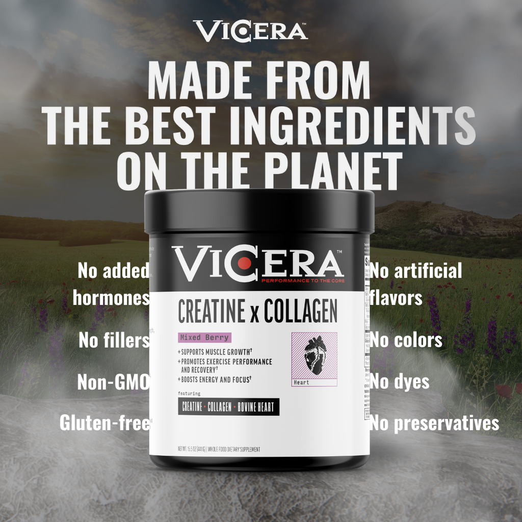 CREATINE X COLLAGEN | MIXED BERRY
