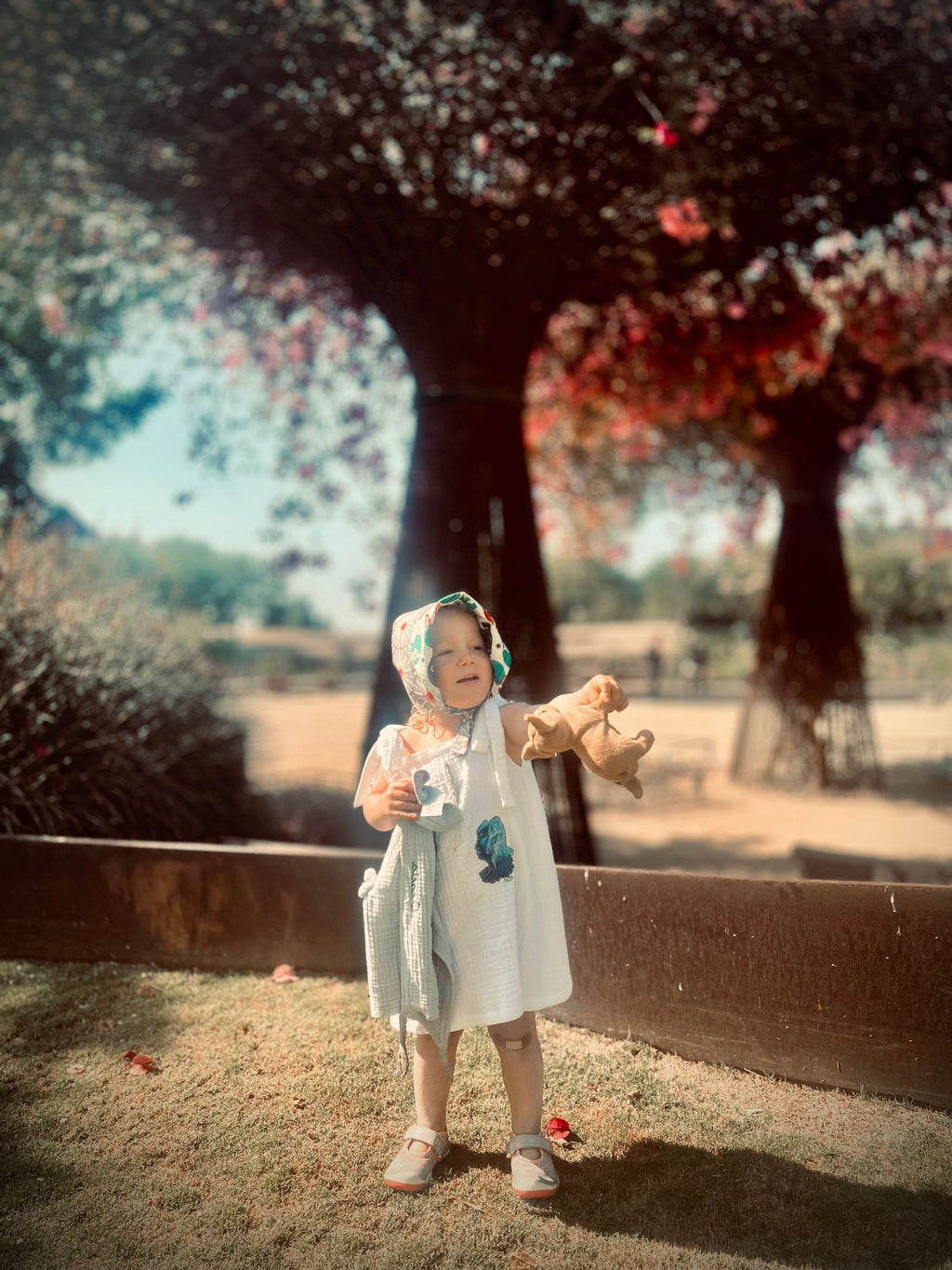 Bonnet in Organic Space