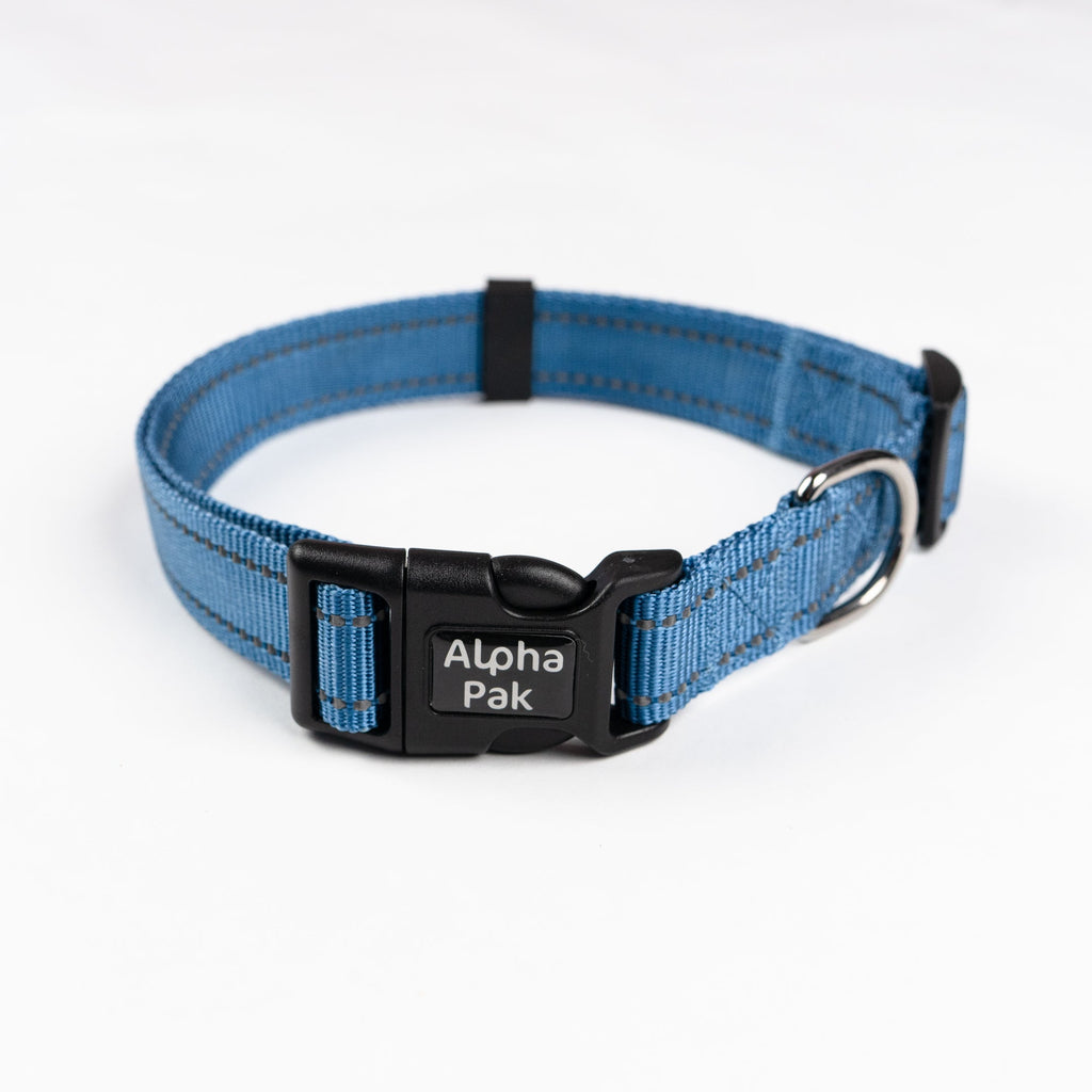 Everyday Adventure Dog Collar