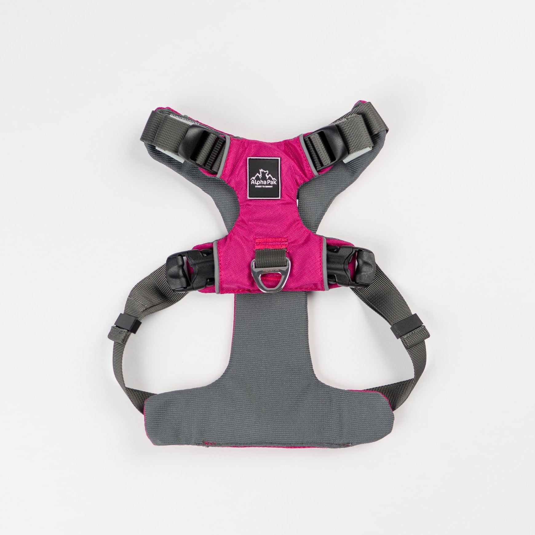 Everyday Adventure Dog Harness