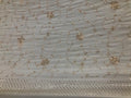 Beautiful Designer Custom Organza Saree