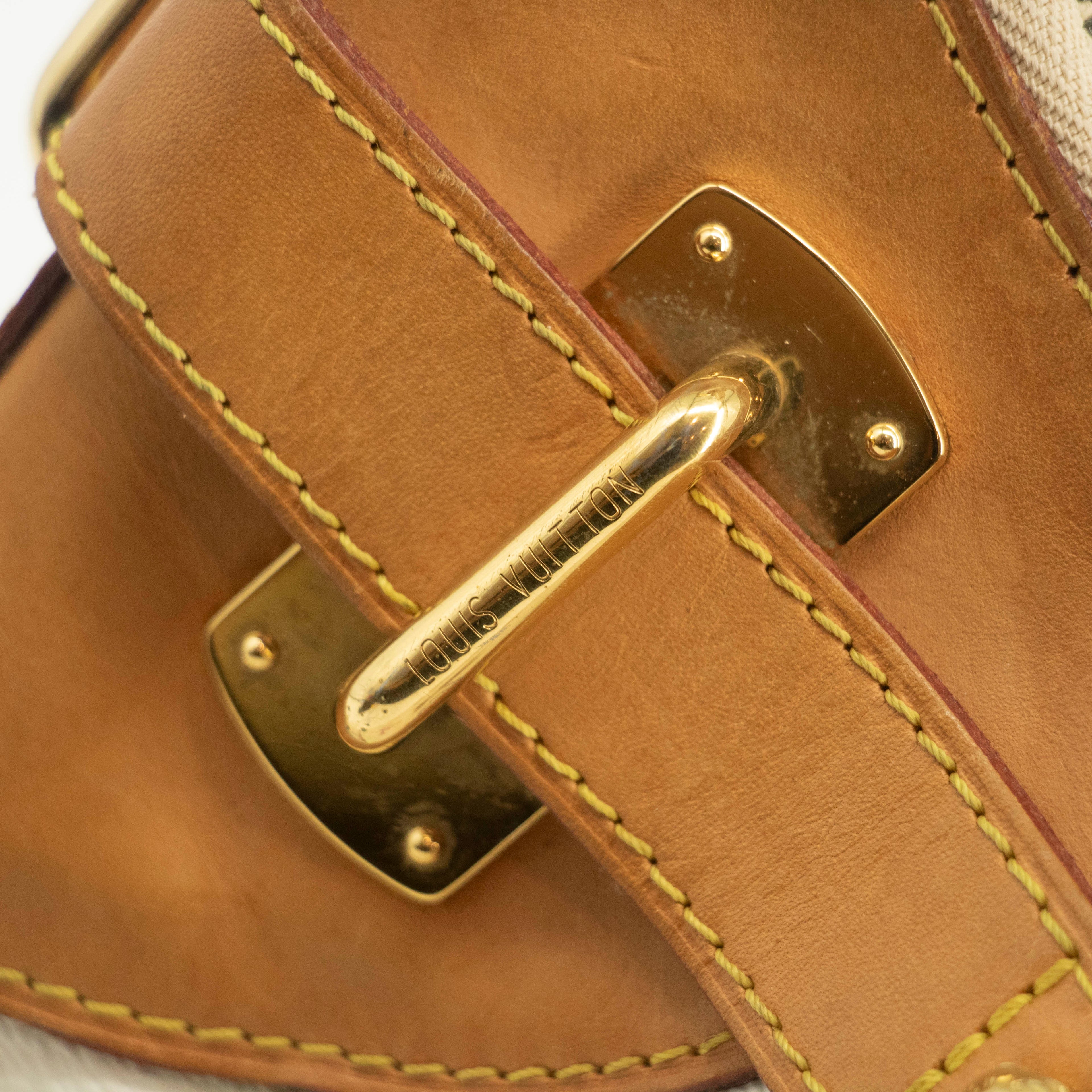 Louis Vuitton Multicolor Canvas White Greta Shoulder Bag  #3986