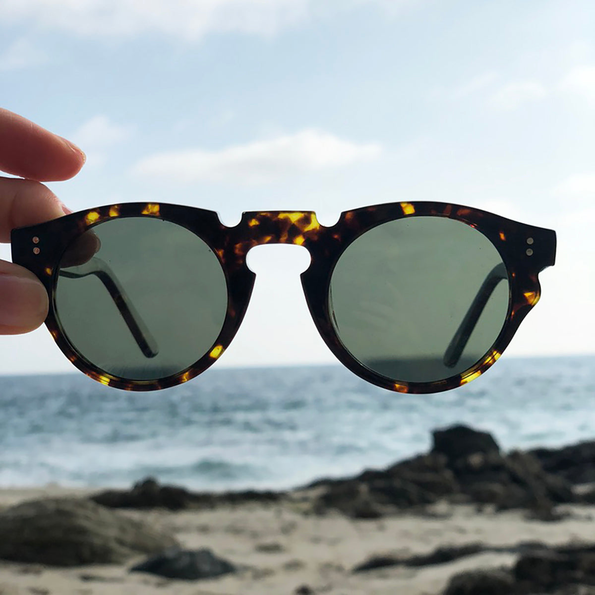 Tortoiseshell Polarized Round Edge Sunglass - Tisch