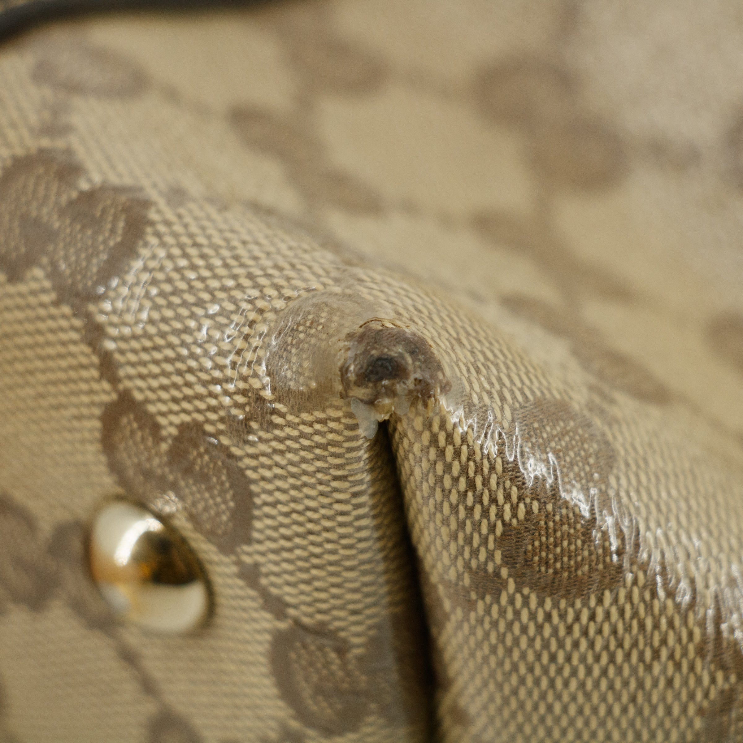 Gucci GG Crystal Monogram Abbey Zippered Tote Bag #4690