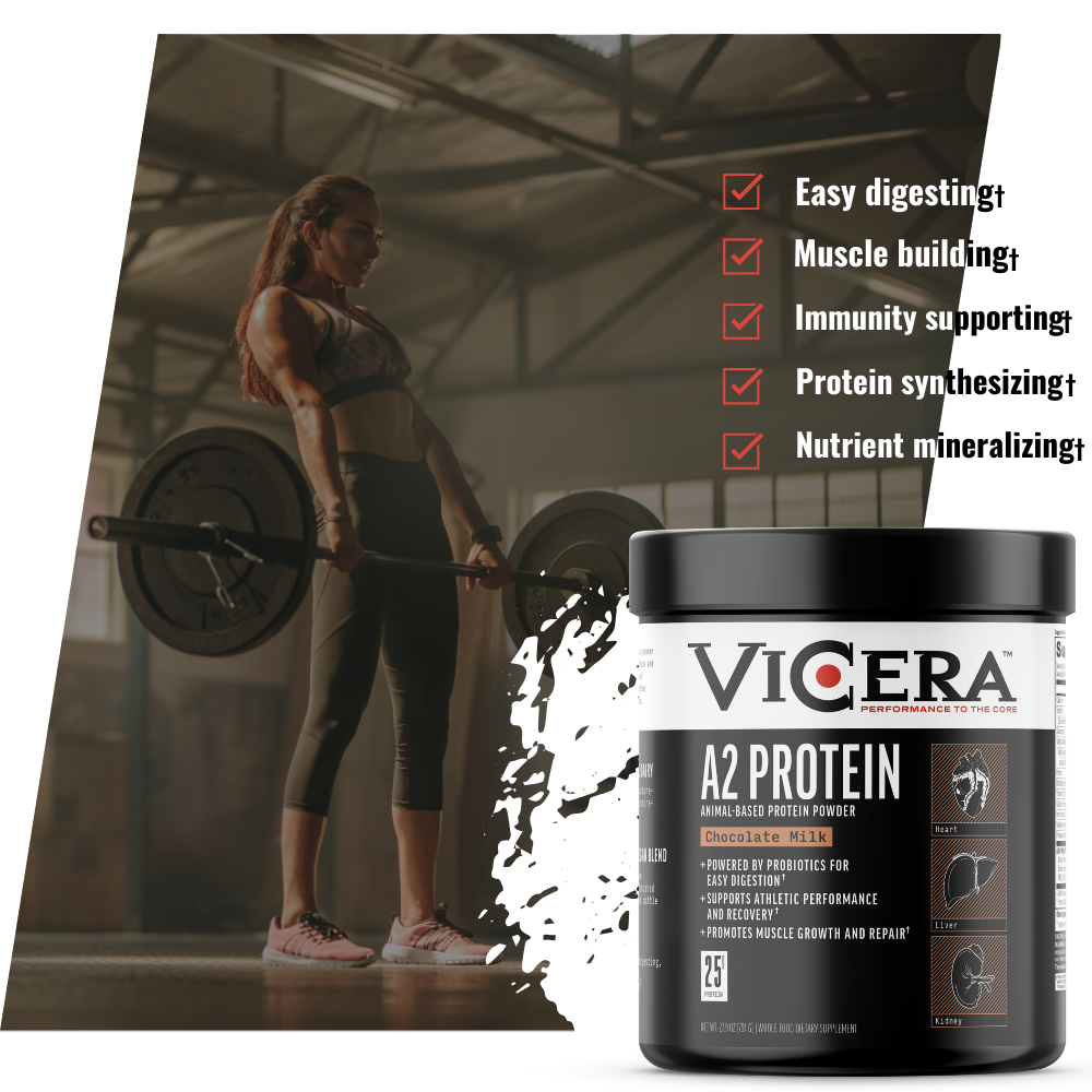 A2 PROTEIN | CHOCOLATE MILK