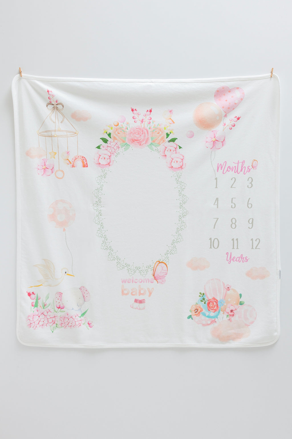 Blush Milestone Blanket