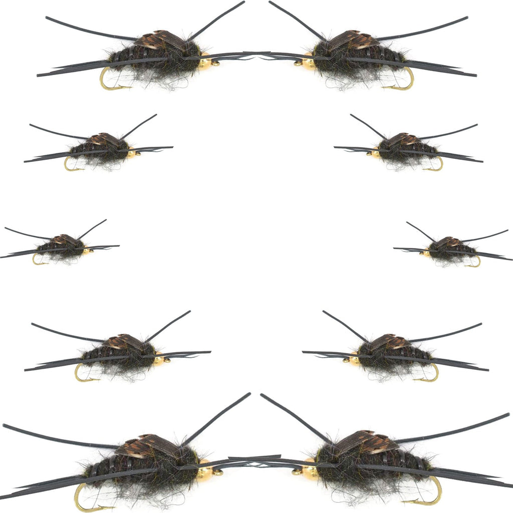 Basics Collection - Kaufmann's Black Stonefly Nymph Assortment - 10 Bead Head Rubber Legs Wet Flies - 2 Each Hook Sizes 4, 6, 8, 10, and 12