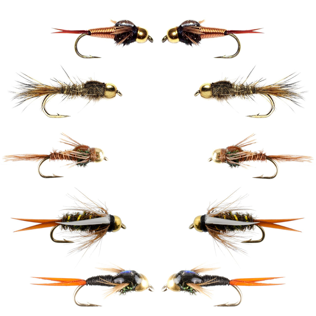 Basics Collection - Copper John and Bead Head Nymph Assortment - 10 Wet Flies - 5 Patterns - Hook Sizes 10, 12, 14, 16