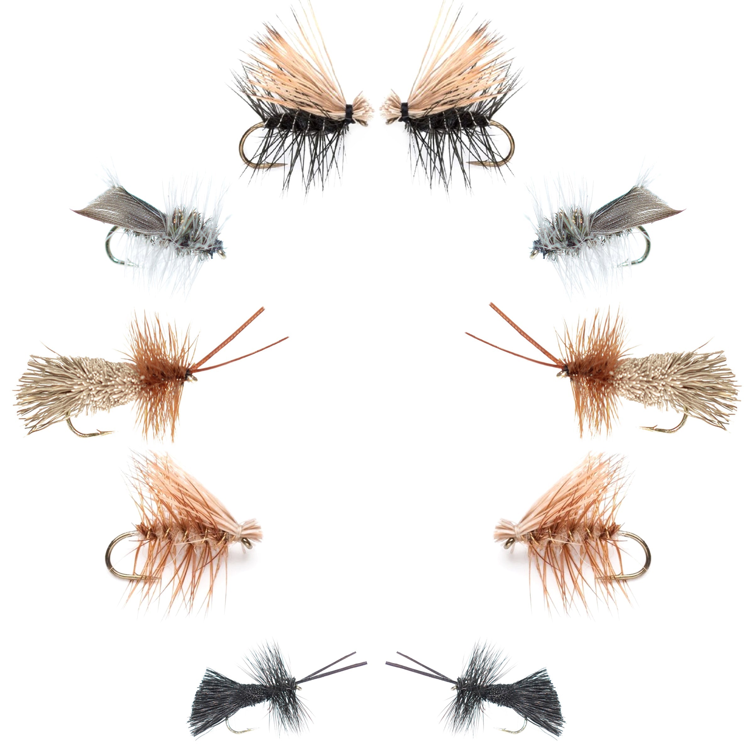 Basics Collection - Essential Caddis Dry Fly Assortment - 10 Dry Fishing Flies - 5 Patterns - Hook Sizes 12, 14, 16, 18