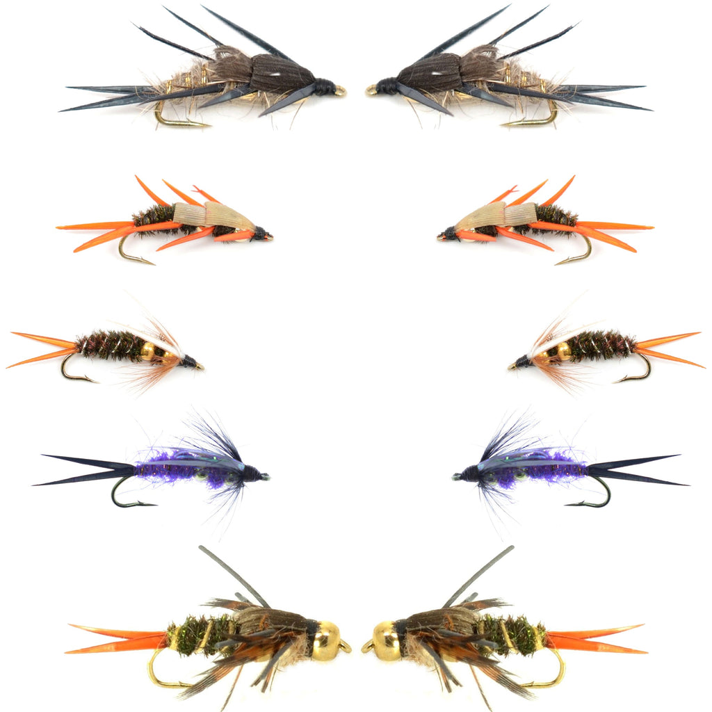 Basics Collection - Double Bead Head Nymph Assortment - 10 Wet Flies - 5 Patterns - Hook Size 8