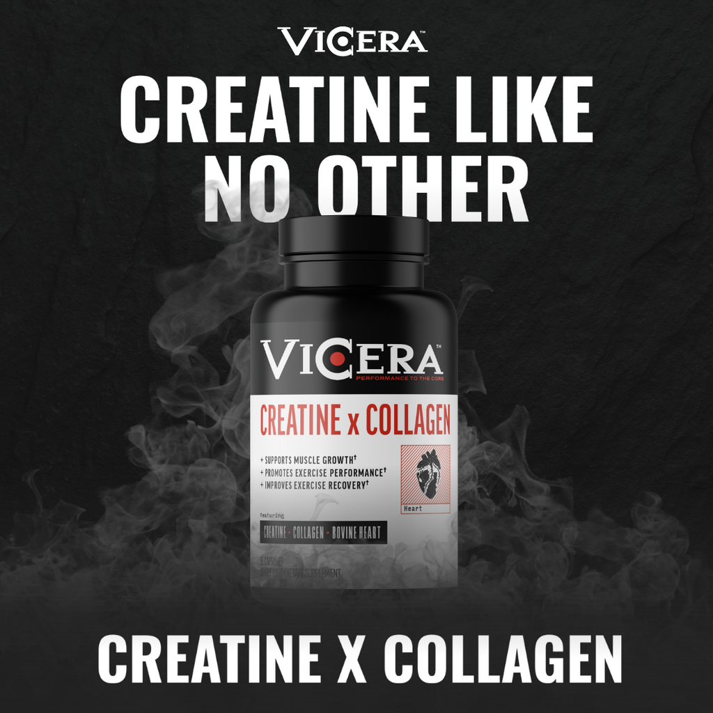 CREATINE X COLLAGEN