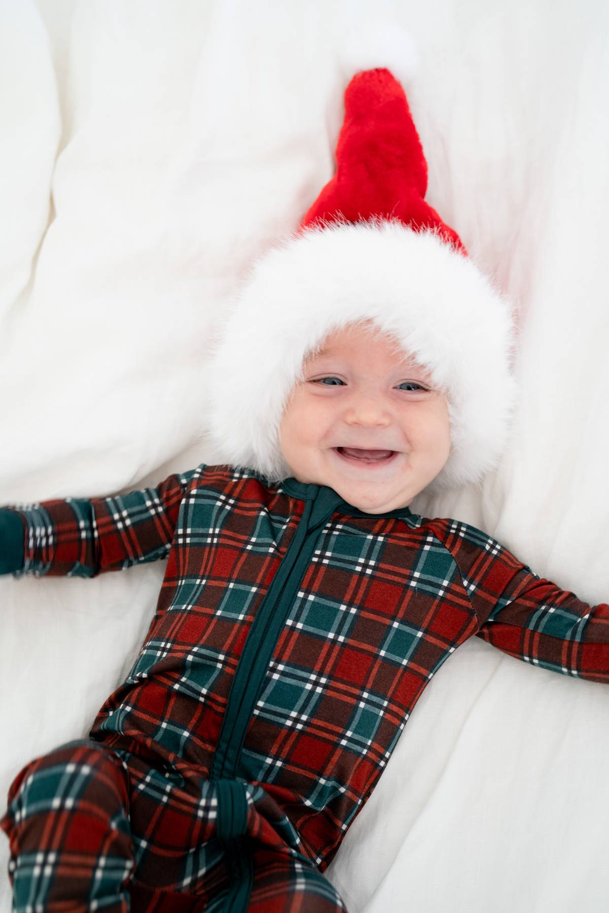 Tartan Plaid | Zippy