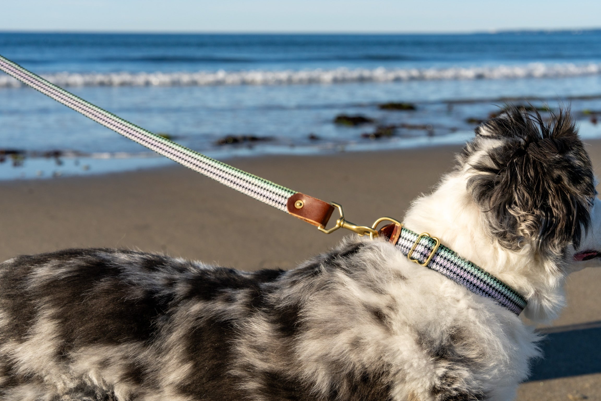 Adjustable Dog Leash