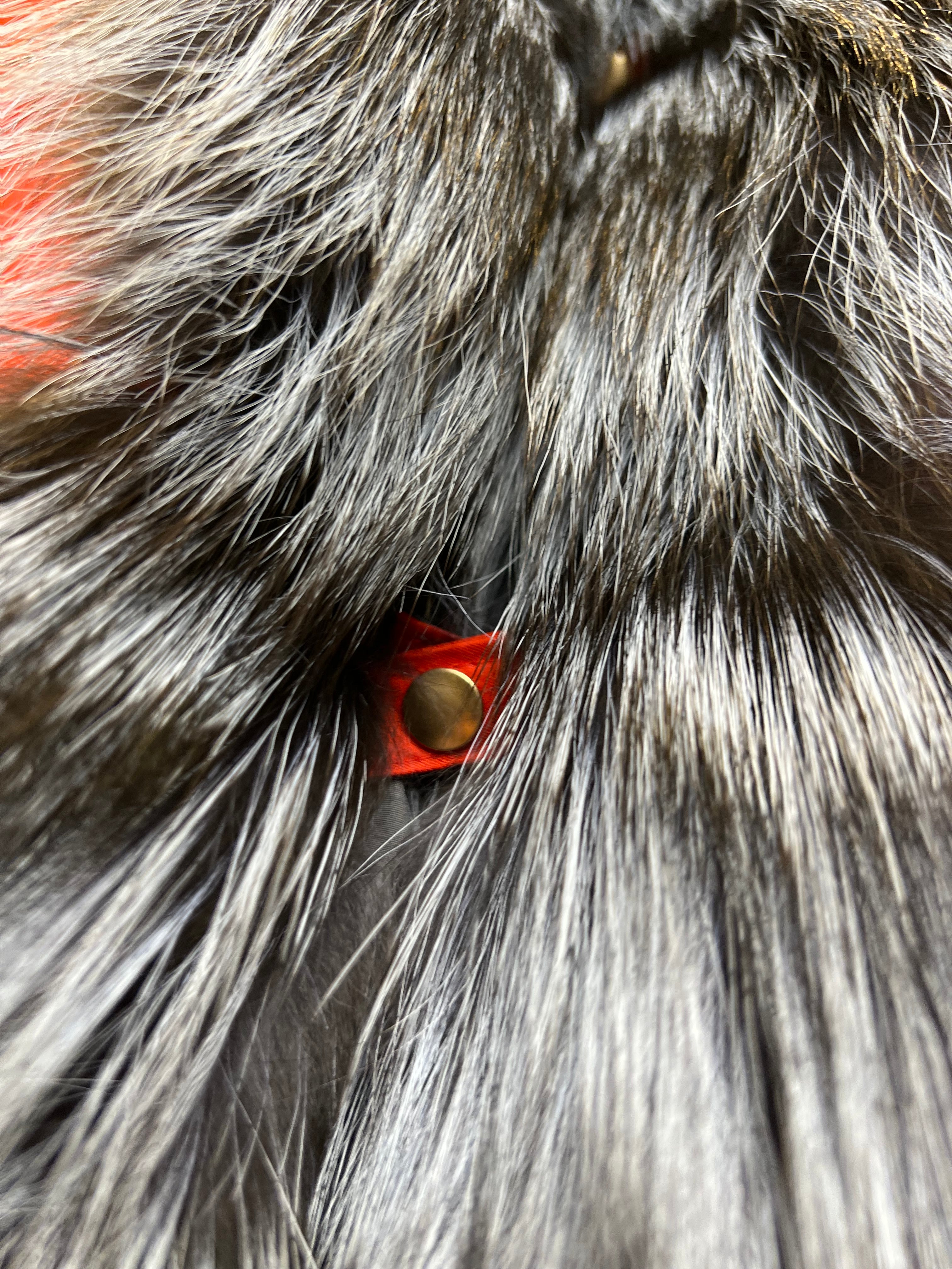 Roma Genuine Silver Fox Fur Rabbit Fur Insulated Parka in Red