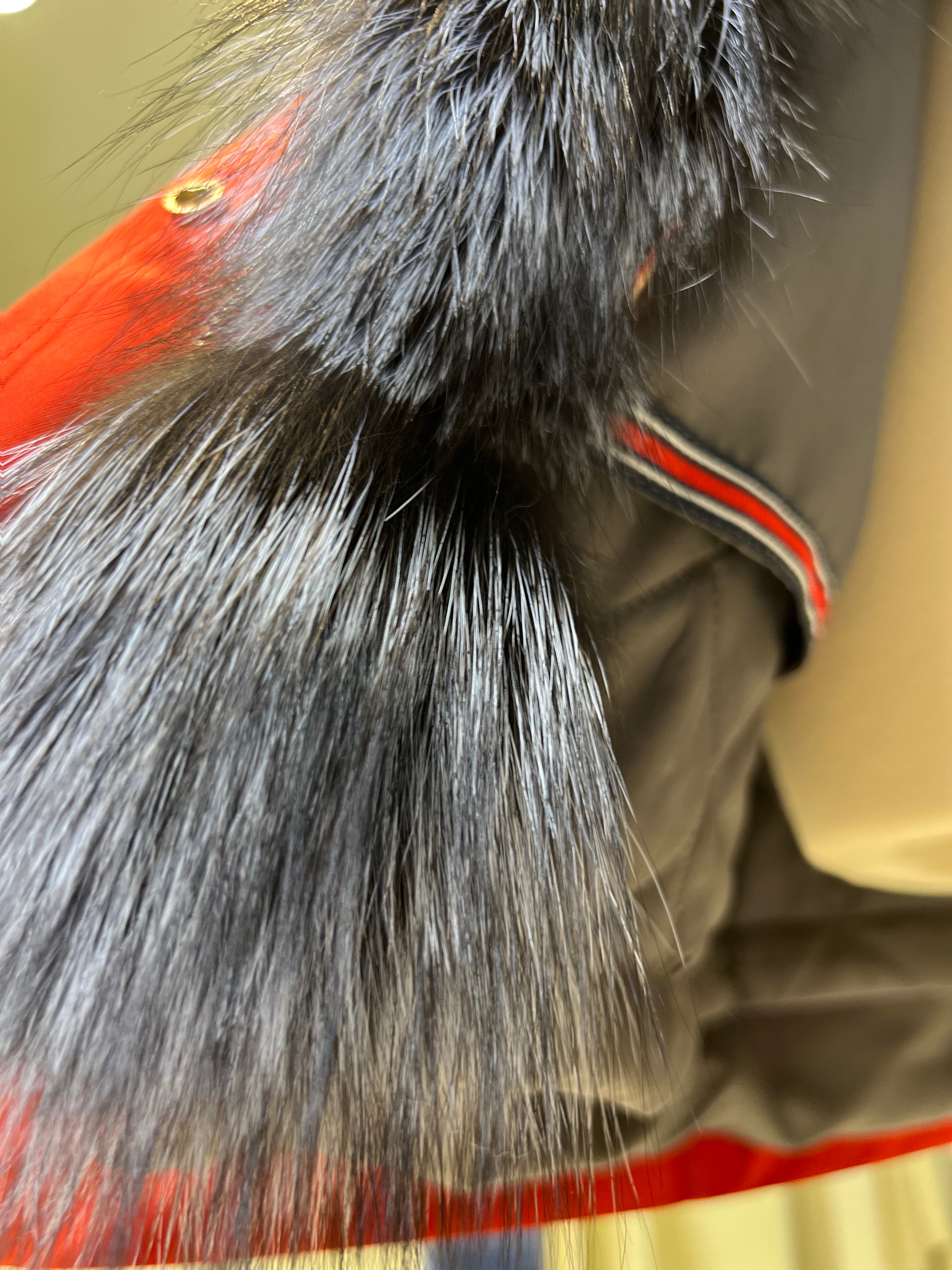 Roma Genuine Silver Fox Fur Rabbit Fur Insulated Parka in Red