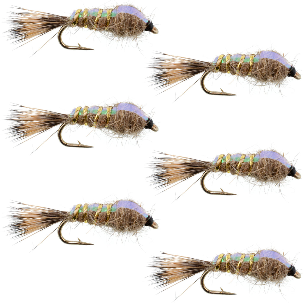Classic Weighted Flashback Gold Ribbed Hares Ear Nymph - Set of 6 Flies - Size 14