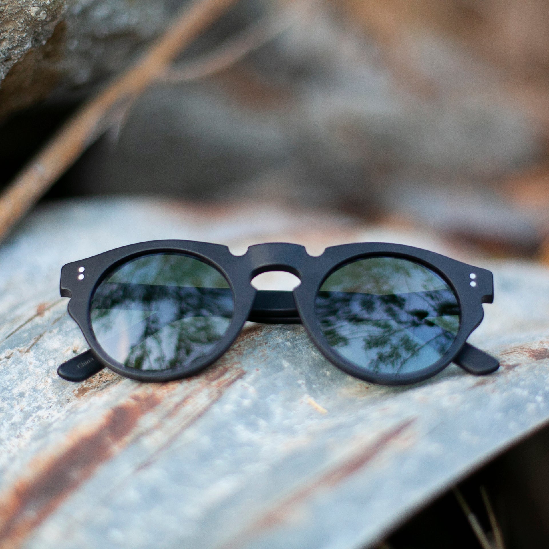 Polarized Round Edge Sunglass - Tisch