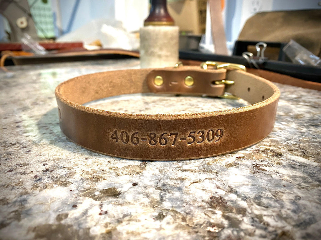 Full Leather Dog Collar