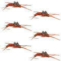 Gold Bead Kaufmann's Brown Stone Fly with Rubber Legs - Stonefly Wet Fly - 6 Flies Hook Size 10