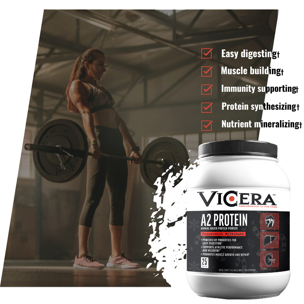 A2 PROTEIN | PEPPERMINT MILKSHAKE