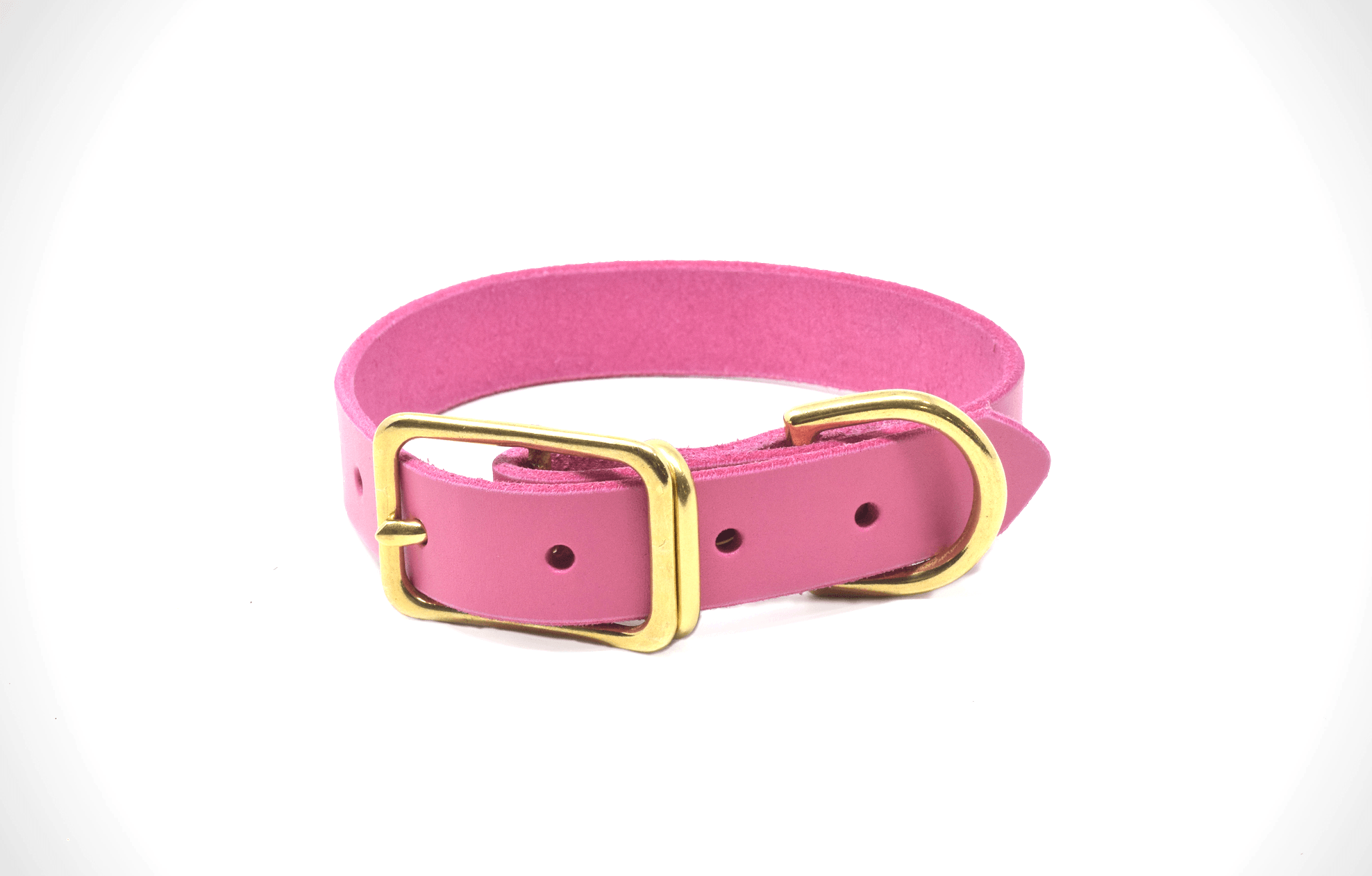 Full Leather Dog Collar