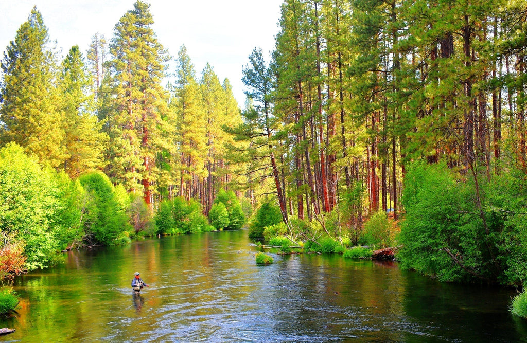 3 Pack H & L Variant Classic Dry Flies Hook Size 16