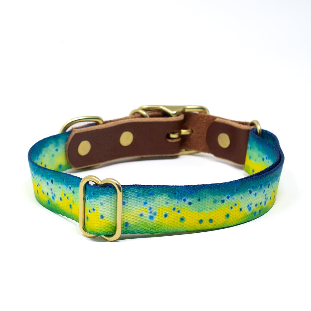 Saltwater Dog Collars