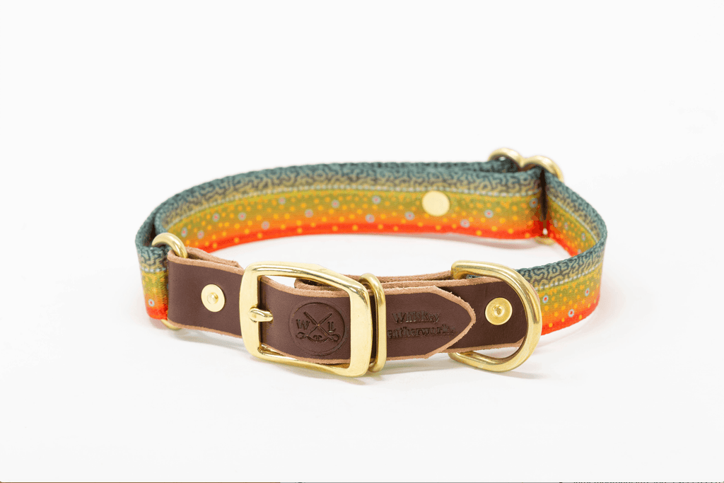 Freshwater Dog Collars