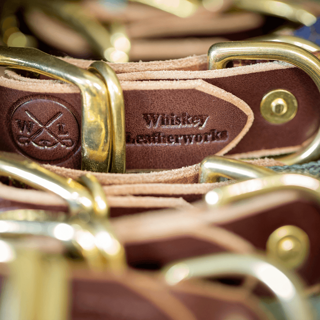 Saltwater Dog Collars
