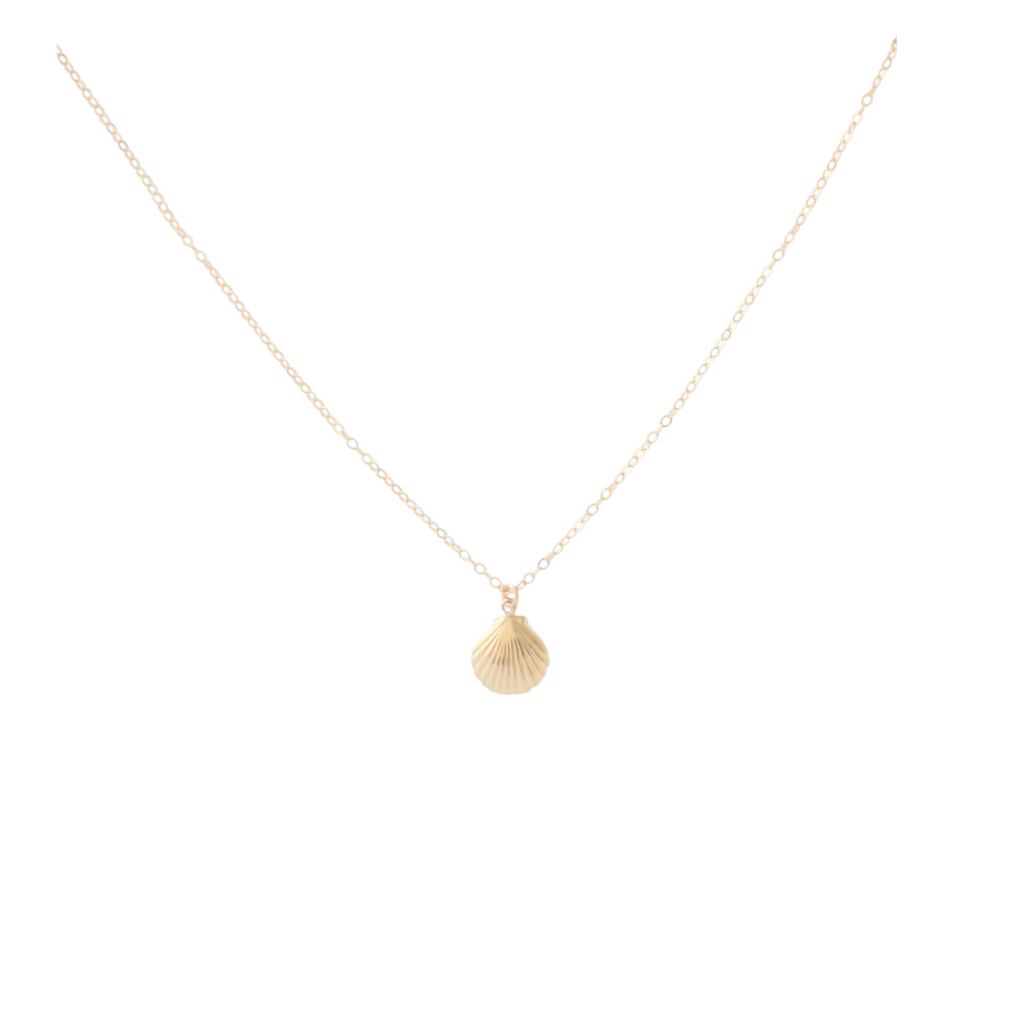 Clamshell Necklace