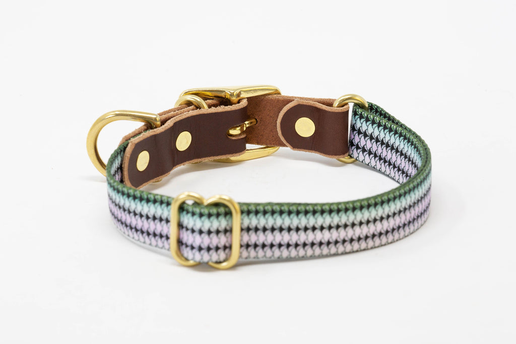 Saltwater Dog Collars