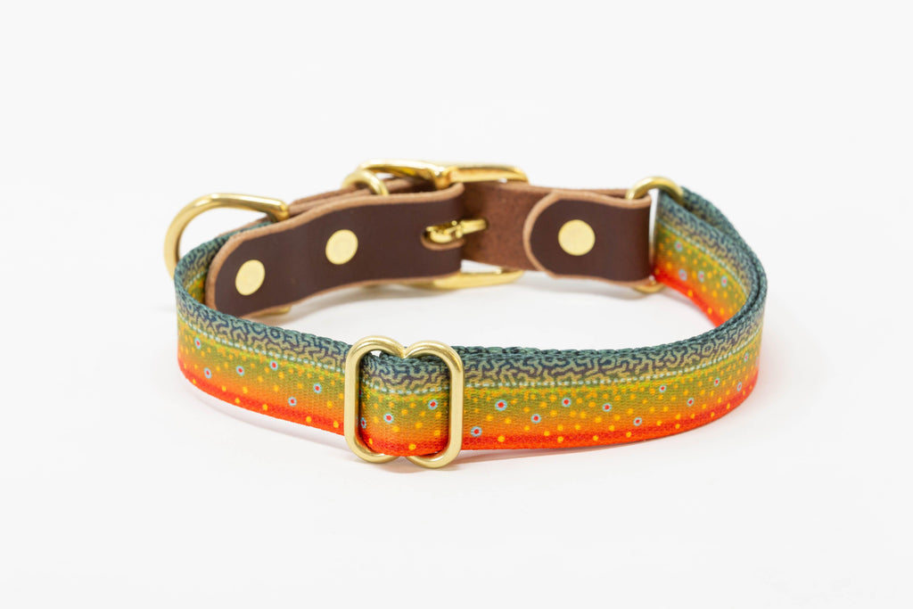 Freshwater Dog Collars