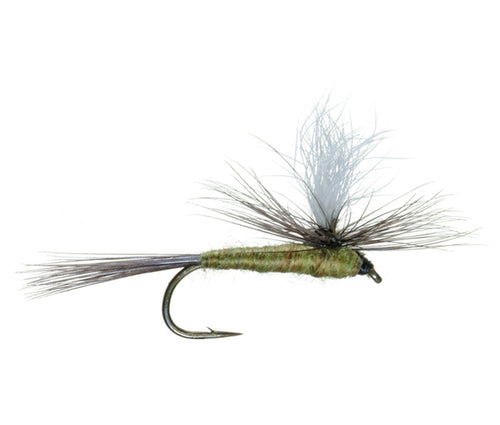 3 Pack Blue Wing Olive BWO Parachute Dry Fly - Hook Size 18