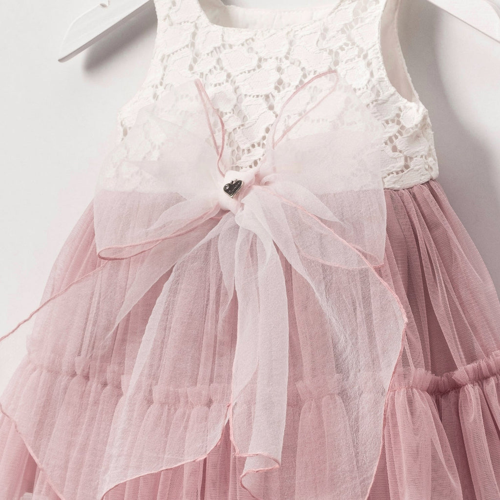 Blush Lace & Tulle Baby Dress