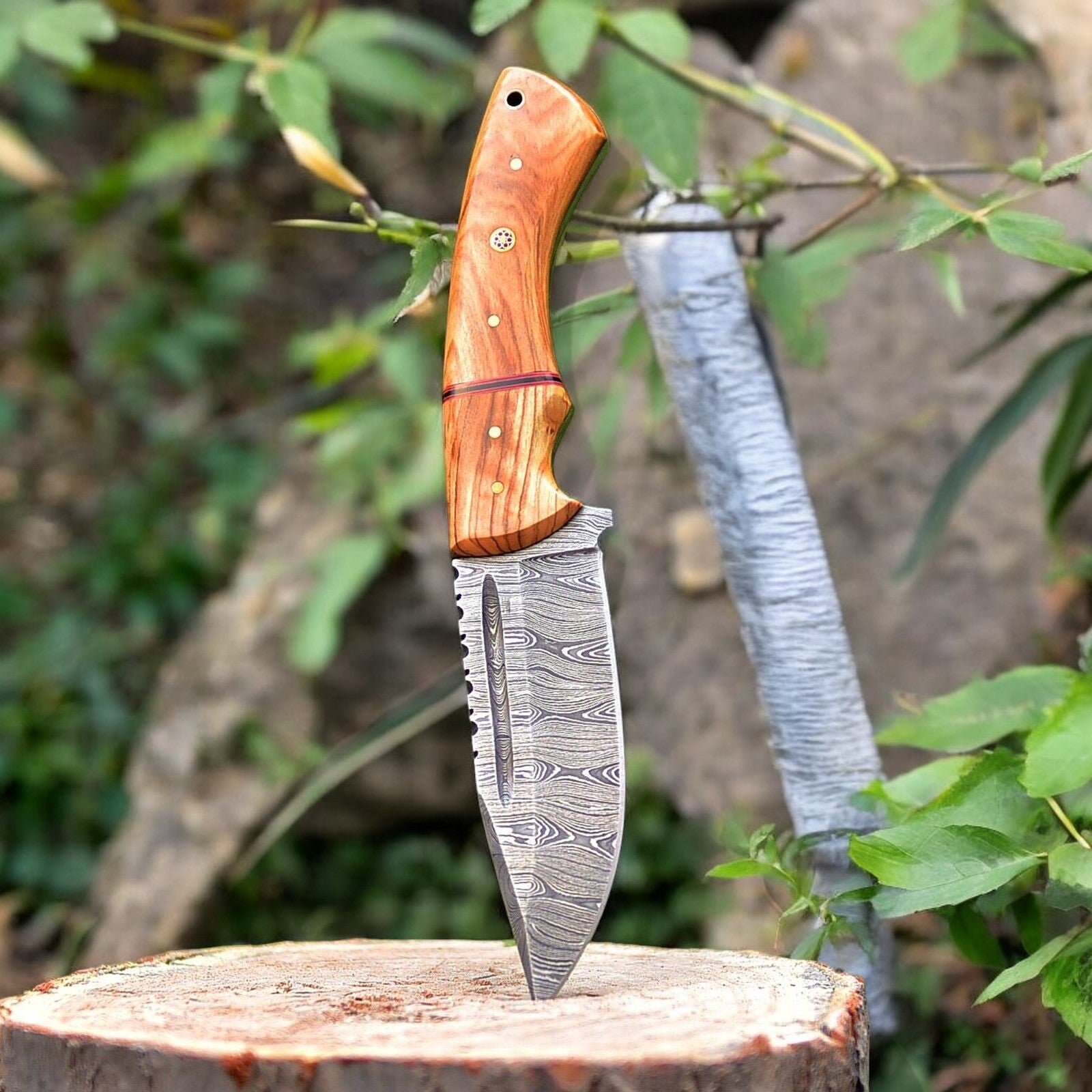 Custom Handmade Damascus Hunting Knife – Olive Wood Handle