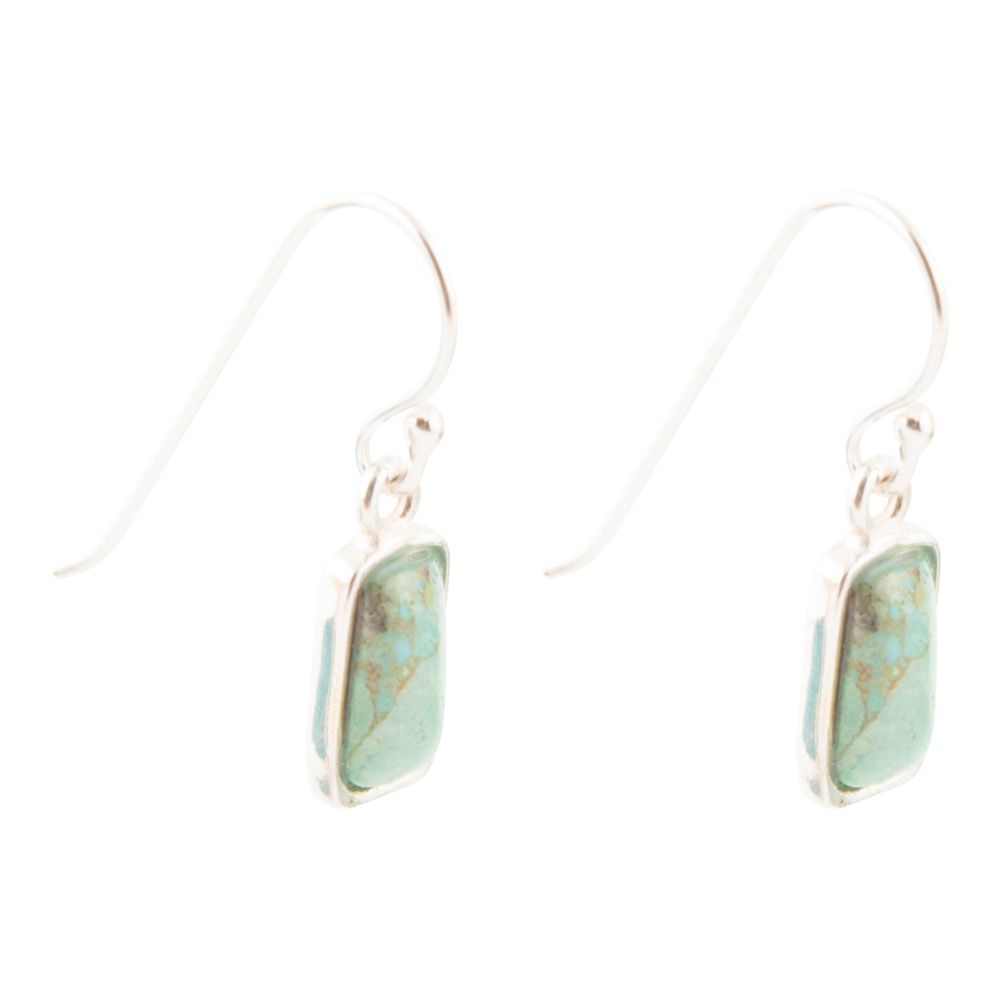 Small Blue Turquoise and Sterling Silver Drop Earrings