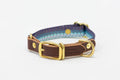 Saltwater Dog Collars