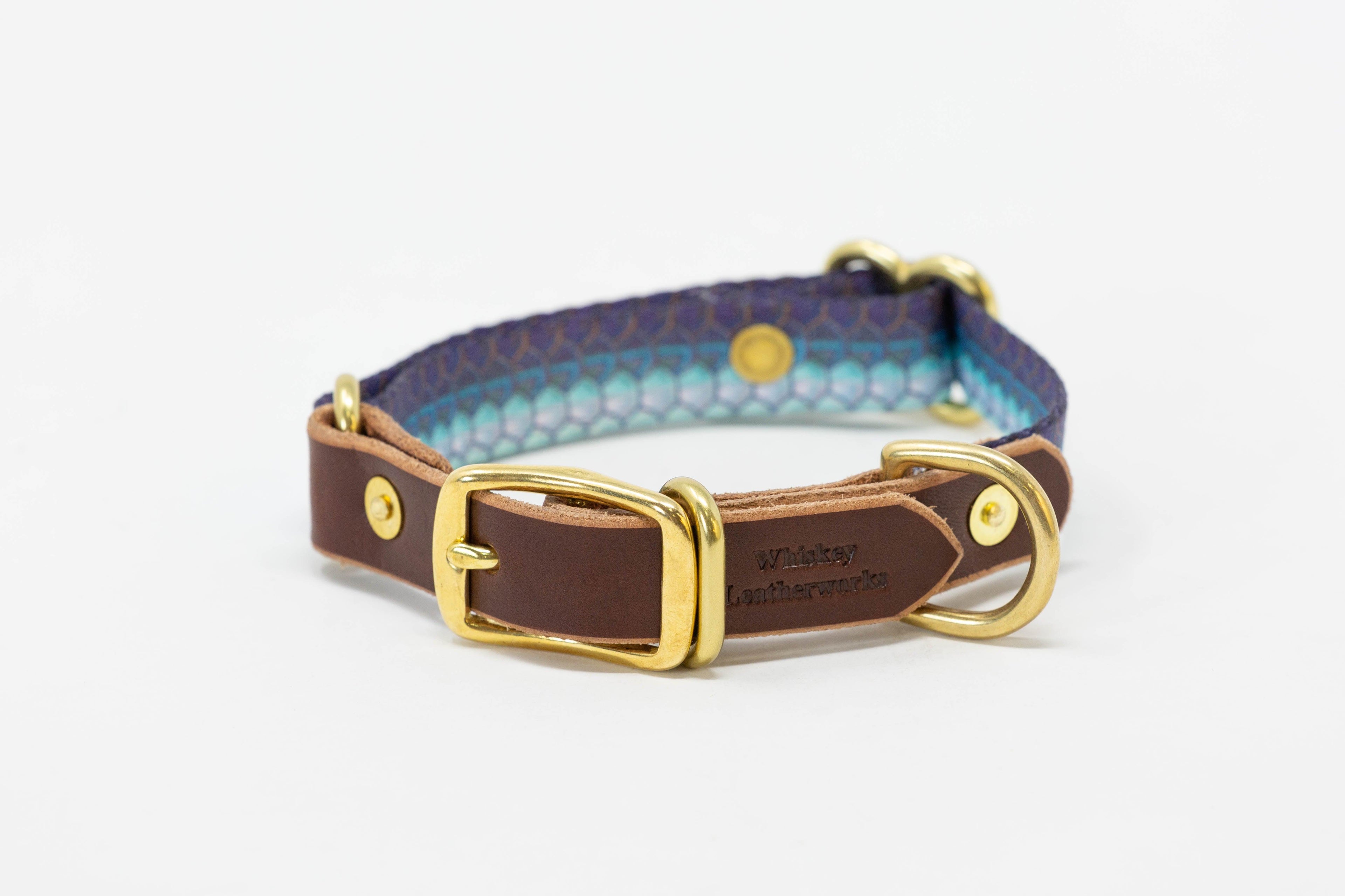 Saltwater Dog Collars