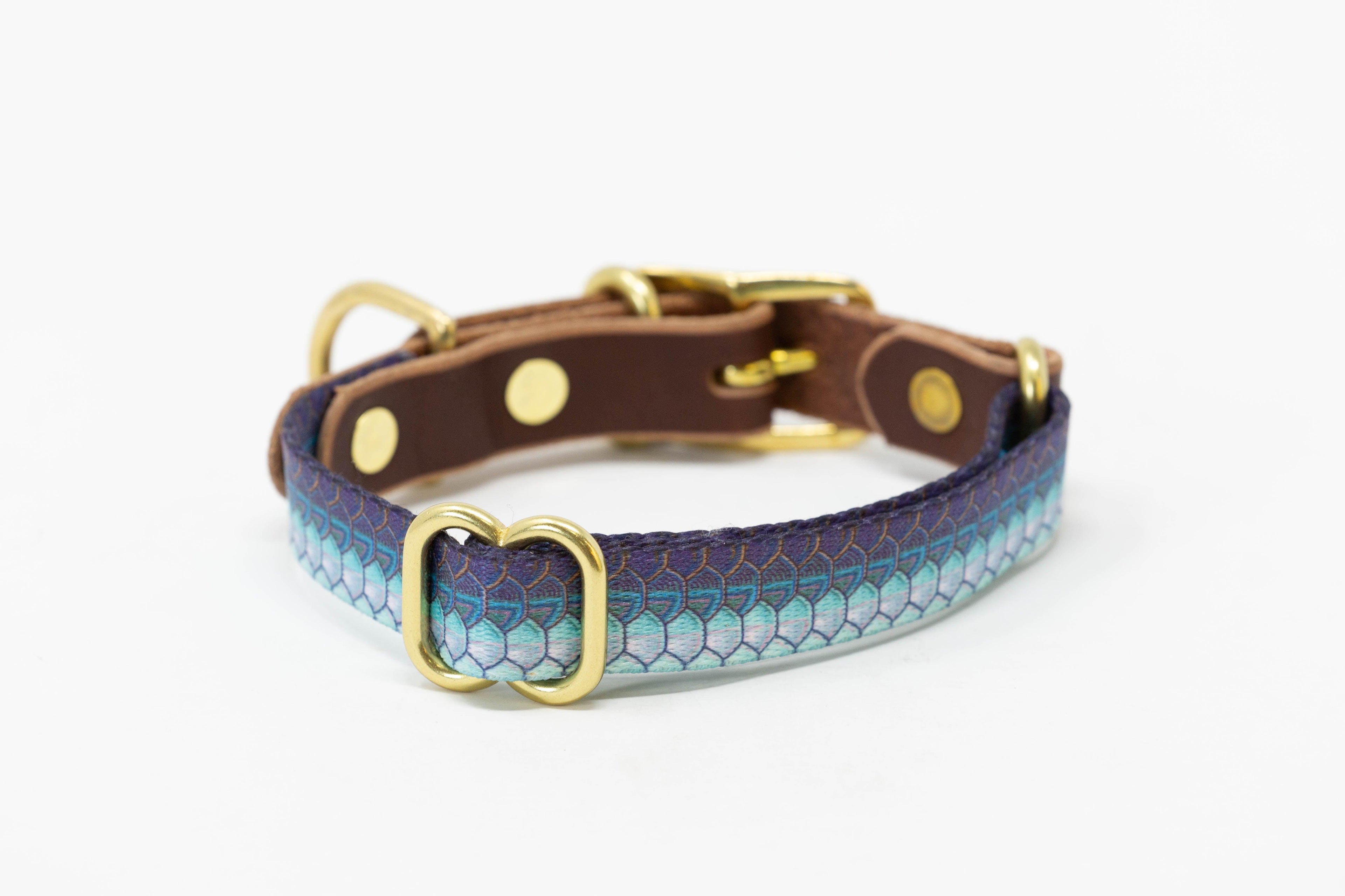 Saltwater Dog Collars