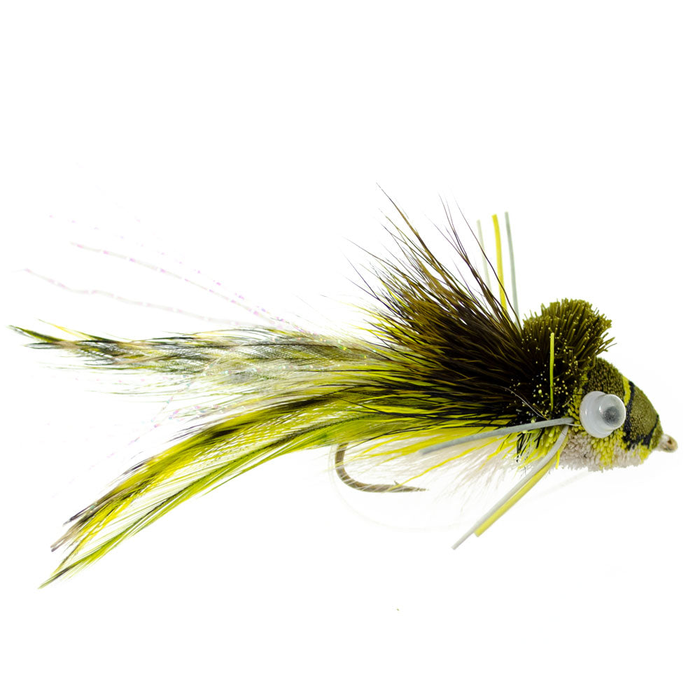 Bass Bug Collection - 24 Bass Fly Fishing Flies - Surface Poppers Frog, Rat, Mouse And Divers  - Hook Sizes 2,4, 6, 8