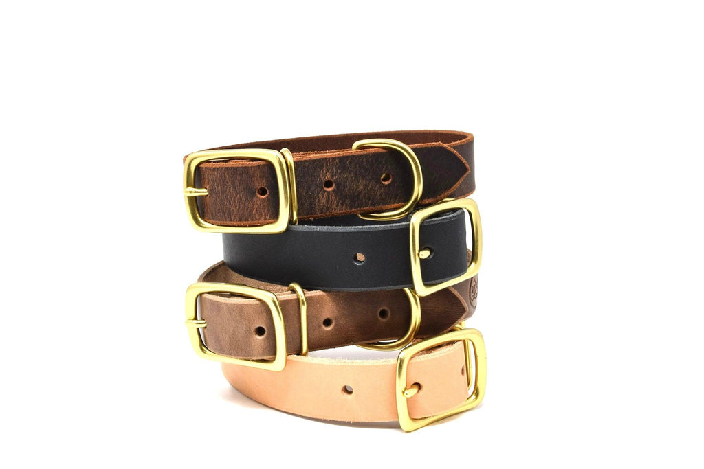 Full Leather Dog Collar
