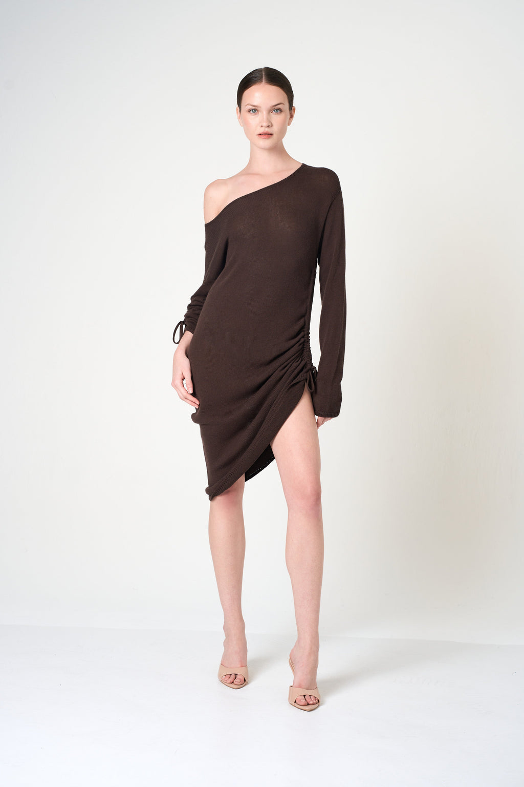 Long Sleeve Dress in Brown